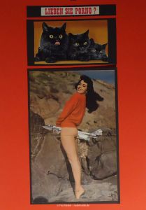 Zeitungscollage: Lieben Sie Porno?